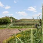 Weg führt über Dünen zu einem Holzhaus. Gras und Blumen im Vordergrund.