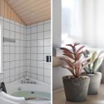 Badezimmer mit Dusche und Fenster. Pflanzen auf Tisch vor Fenster.