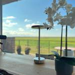 A lamp and an orchid are on the table. A green field is visible in the background.