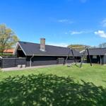 Schwarzes Haus mit Garten und Schaukel unter blauem Himmel.