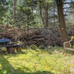 Zwei Bänke im Wald: eine dunkle Bank auf Baumstümpfen, eine helle Rattanbank neben gelben Blättern.