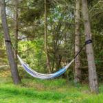 Ein blaues und weißes Hängemattengarn hängt zwischen zwei Bäumen im Wald.