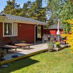 Roter Holzschuppen mit Terrasse, Sonnenliegen und Gartenmöbeln. Gelber Strauch im Vordergrund.