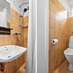Bad mit Dusche, Waschbecken und Spiegel. WC-Zone mit Toilette und Toilettenpapierhalter.