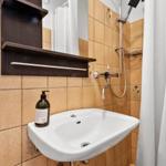 Badezimmer mit Waschbecken, Duschbrause und dunklem Regal.