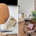 Ein braunes Sofa mit Decke und Tasse. Ein Sessel mit Kissen neben einer Pflanze.