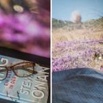 A book with glasses rests before a window overlooking a heath landscape.