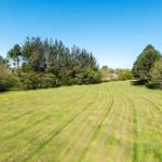 Large mowed lawn with trees and clear blue sky in the background.