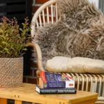 Rattan-Stuhl mit Felldecke und Kissen. Holztisch mit Pflanze und zwei Büchern.