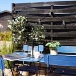 Blue table and chairs with plants and lighting in the garden.