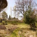 Grüner Gartenweg zwischen Bäumen und Sträuchern mit Blick auf einen Zaun im Hintergrund.