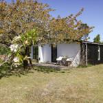 House with terrace under blooming tree. Lawn and wooden house with windows.