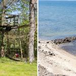 Wooden treehouse with swing in the woods. Shore with stones and sand by the water.