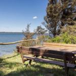 Wooden bench by water with view of lake and trees.