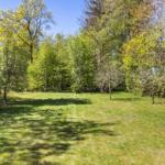 Green lawn area with trees and a bench outdoors.