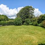 Large green lawn area with trees and shrubs. A birdhouse stands in the foreground.