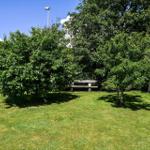 Green lawn area with benches and trees under blue sky.