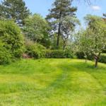 Green grass path through a wooded garden with blooming trees and hedges.