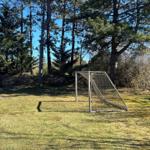 Fussballtor auf einer grünen Wiese zwischen Bäumen