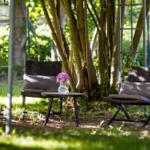 Zwei Stühle und ein Tisch unter Bäumen im Garten.