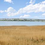 Brücke über einen See mit goldenem Gras im Vordergrund unter blauem Himmel mit weißen Wolken.