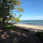 Waldweg führt zum Strand mit Blick auf das Meer unter blauem Himmel.