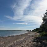 Strand mit Steinen und Bäumen am Wasser unter blauem Himmel mit weißen Wolken.