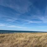 Strand mit goldenem Gras und blauem Himmel mit weißen Wolken.