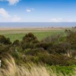 Weitläufiger Blick auf das Meer mit Grasland und Sträuchern im Vordergrund.