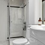Bathroom with shower, toilet, and sink with mirror