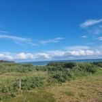 Grünes Feld mit Pflanzen und einem Blick auf das Meer unter blauem Himmel.