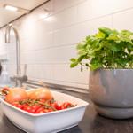 Küche mit Basilikum, Tomaten und Zwiebeln auf Arbeitsfläche
