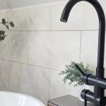 Duschkopf und Handbrause über Badewanne mit Pflanzen und Fliesenwand.