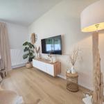 Wohnzimmer mit Fernseher, Pflanzen und Stehlampe auf Holzboden