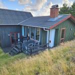 Holzhäuschen mit Terrasse und Grillplatz im Grasland.