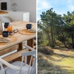 Holztisch mit Tassen und Kaffeekanne. Außenseite mit Nadelbäumen und Gras.