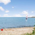 Windsurfer segelt auf dem Wasser, Strand im Vordergrund mit Sand und Pflanzen.