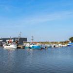 Hafen mit mehreren Booten und modernen Gebäuden am Wasser.