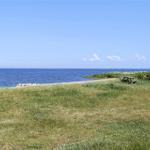 Grünes Gras am Strand mit Picknicktisch und Blick auf das Meer unter blauem Himmel.