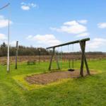 Grünes Feld mit Schaukel und Picknicktisch unter blauem Himmel.
