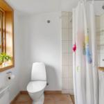 Badezimmer mit Toilette, Dusche und Fenster mit Pflanze.