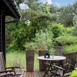 Terrasse mit Tisch und Stühlen, umgeben von grüner Vegetation und einem Fenster.