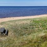Strand mit Sand, Steinen und Gras am Wasser. Im Hintergrund sind Windräder sichtbar.
