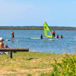 Wassersportler genießen das Wasser. Einige surfen, andere paddeln. Gras und Blumen am Ufer.