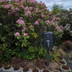 Electric charging point in the garden with blooming bushes.