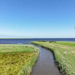 Wide view of river and coastal landscape with green shorelines and settlements.