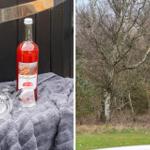 Eine Flasche Most und zwei Gläser auf einem Handtuch. Ein Baum im Wald mit grünem Gras im Vordergrund.