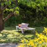 White lounger under tree with cushions and blanket on grass.