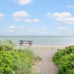 A wooden table stands on the beach, surrounded by grass and pink flowers under a blue sky.