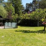 Green lawn with trees and terrace. Backyard with seating areas.